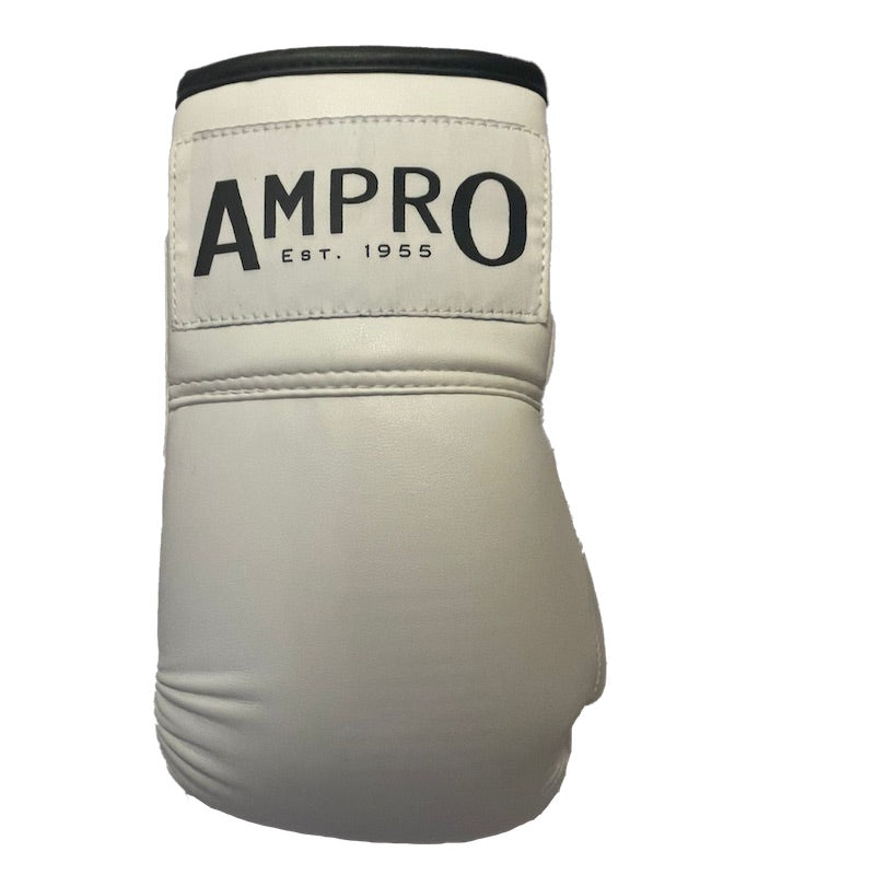 AMPRO Autograph Boxing Gloves